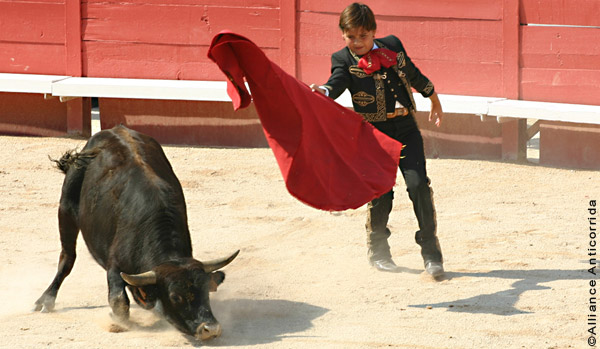 Alliance Anticorrida